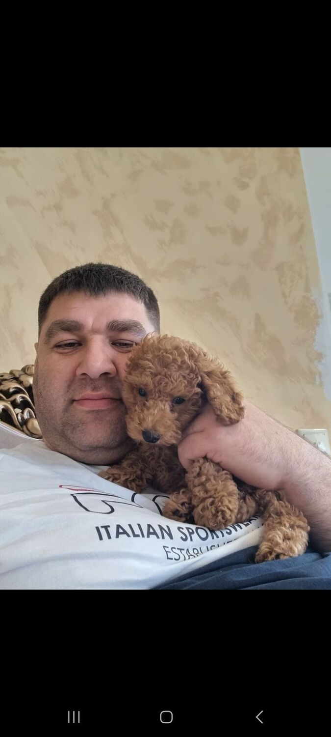 ���� 37183226 ������� ����, 40 ���, ���� ���������� � �����������