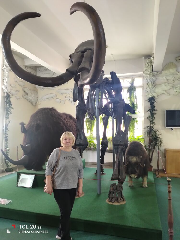 ���� 52610796 ������� �����, 54 ����, ���� ���������� � �����������