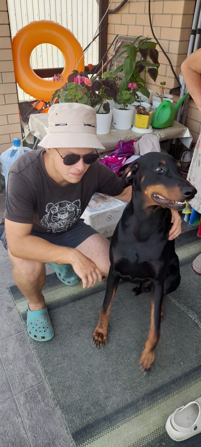 ���������� ����, ���� ������� �������, 29 ���, ������������ ��� ������, ����� � ���������