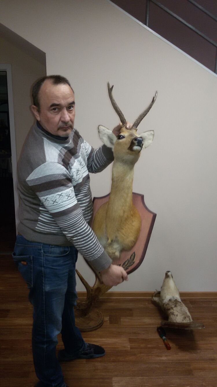  34514396  , 56 ,    