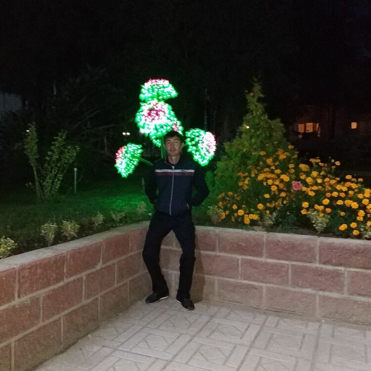 ���� 18493146 ������� ����� �����, 44 ����, ���� ���������� � �������