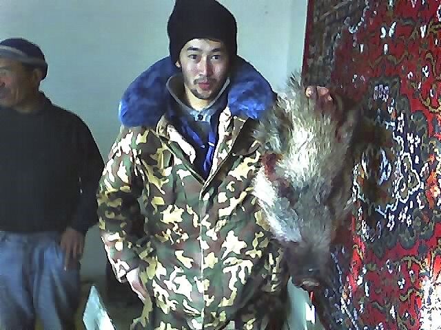 ���� 4143116 ������� Axan, 38 ���, ���� ���������� � ������