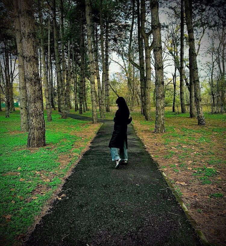 ���������� ���������, ���� ������� �����, 26 ���, ������������ ��� ������