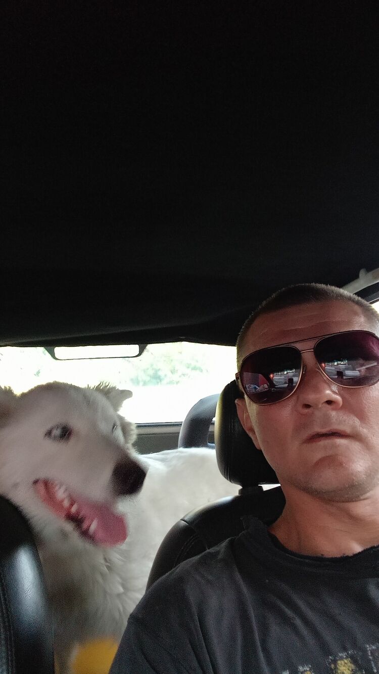 ���������� ���������, ���� ������� ������, 43 ����, ������������ ��� c�������� ���������