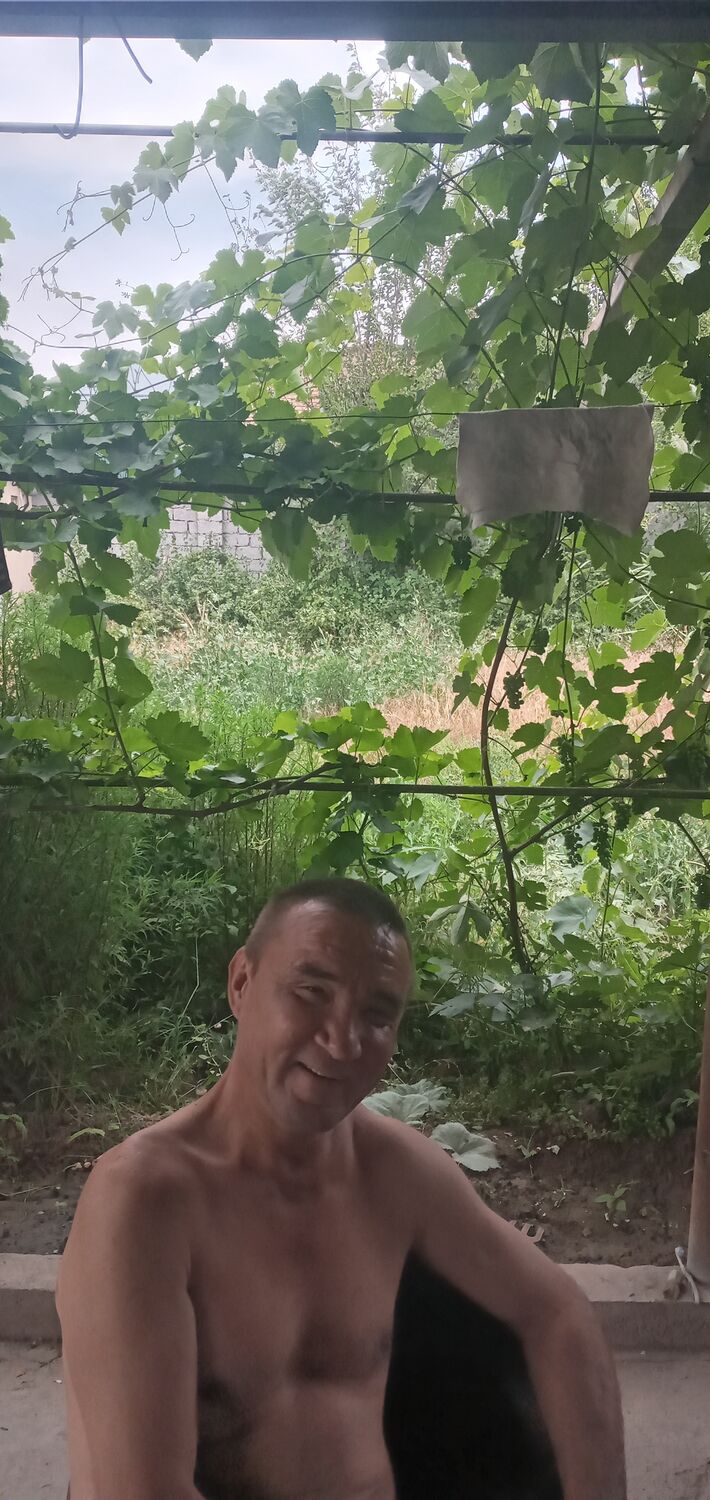 ���� 55381246 ������� ����, 37 ���, ���� ���������� � ��������