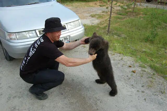 ���������� �����������, ���� ������� ������, 47 ���, ������������ ��� ������, ����� � ���������, c�������� ���������, ���������