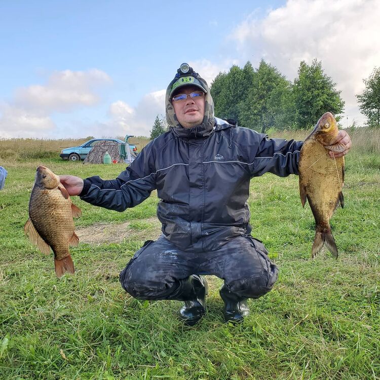 ���������� �����, ���� ������� �������, 44 ����, ������������ ��� c�������� ���������