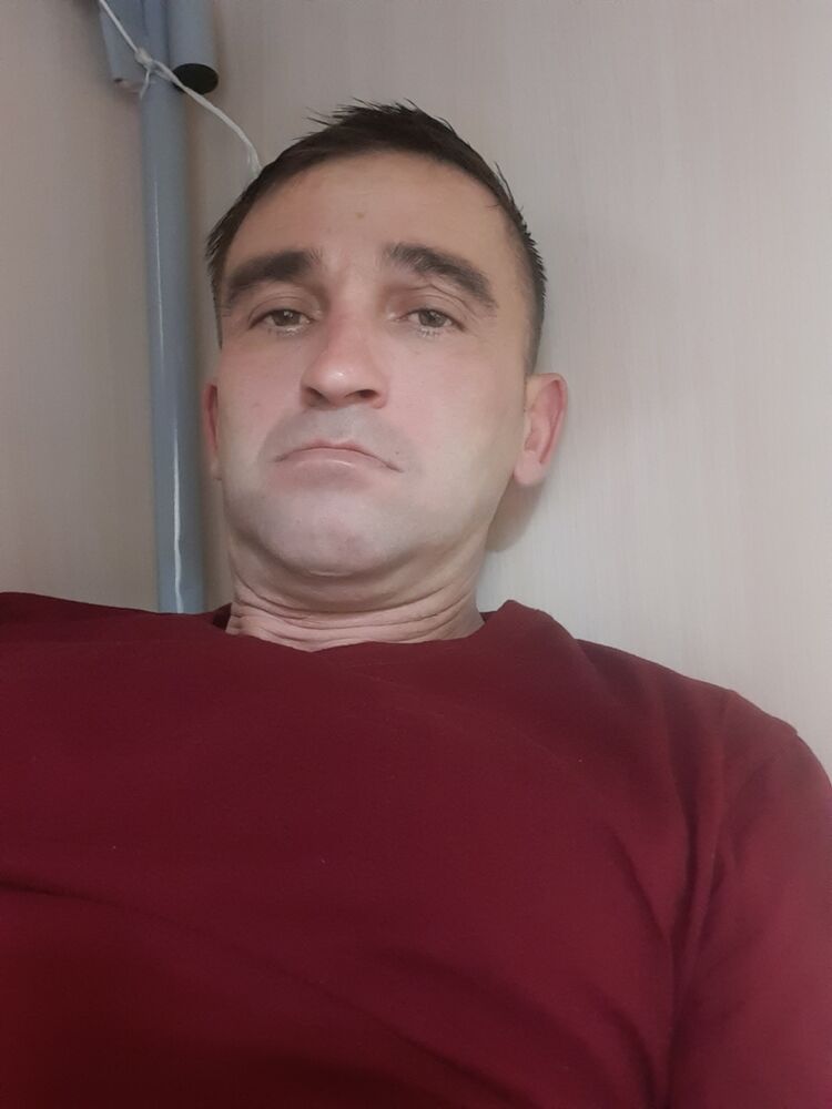  49813626  , 43 ,    -