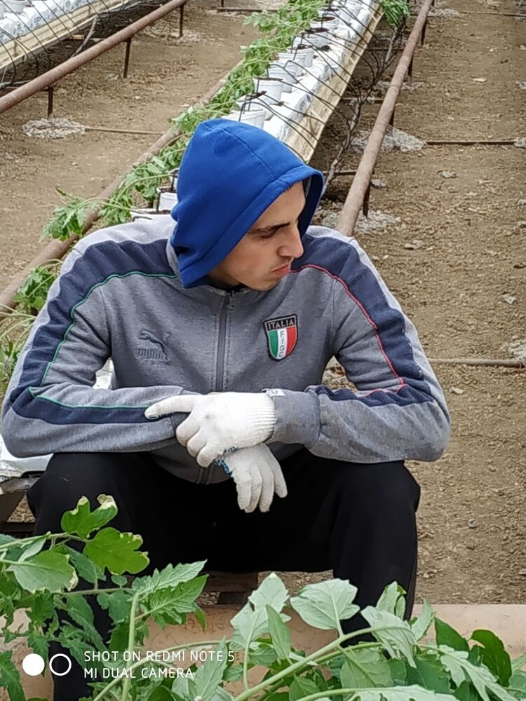  18305806  Shon, 34 ,    