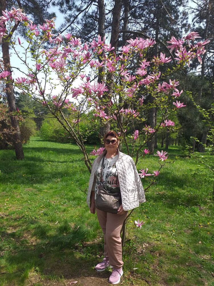  ,   , 62 ,  