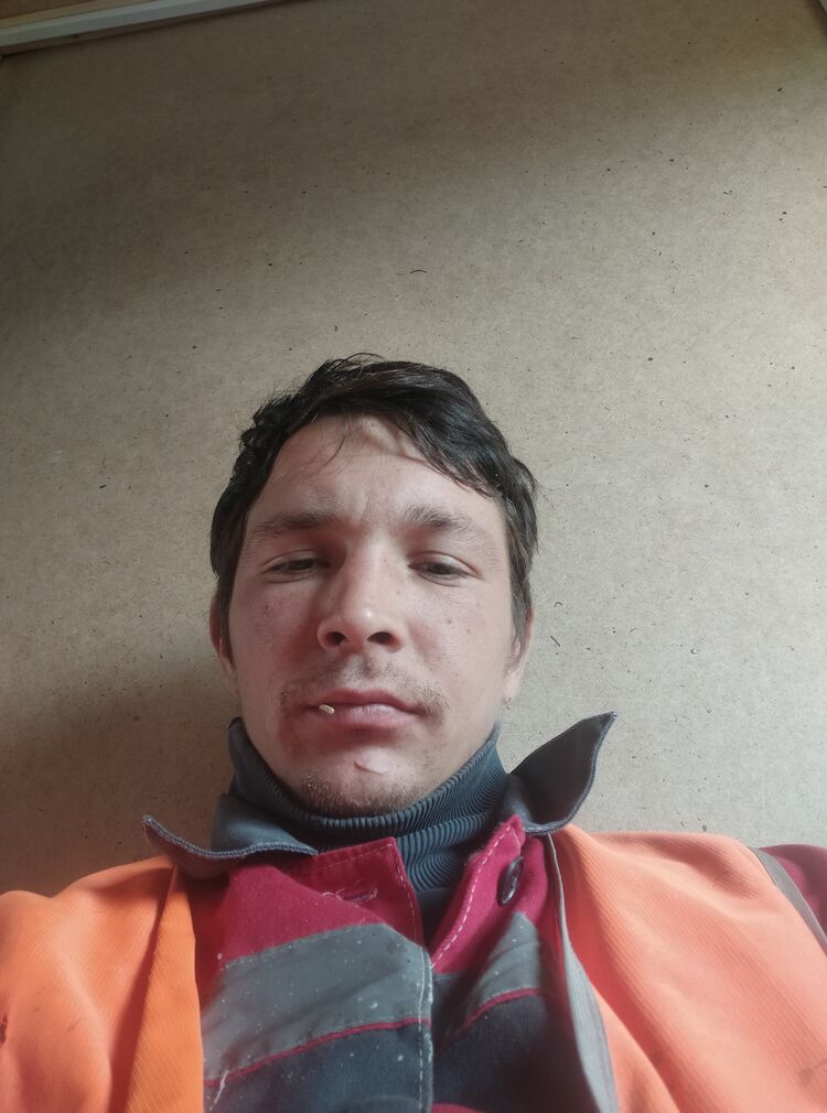  38594326  , 31 ,    