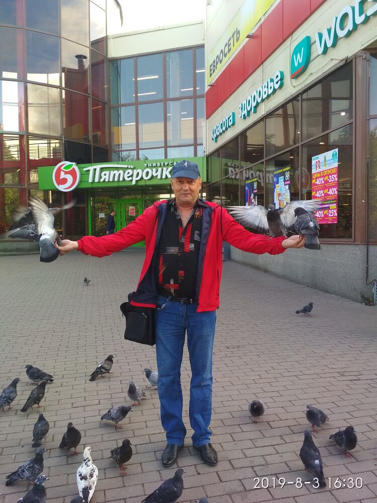 ���� 56221536 ������� �����, 62 ����, ���� ���������� � ���������