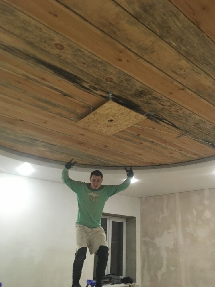 ���� 23217606 ������� �����, 33 ����, ���� ���������� � ������