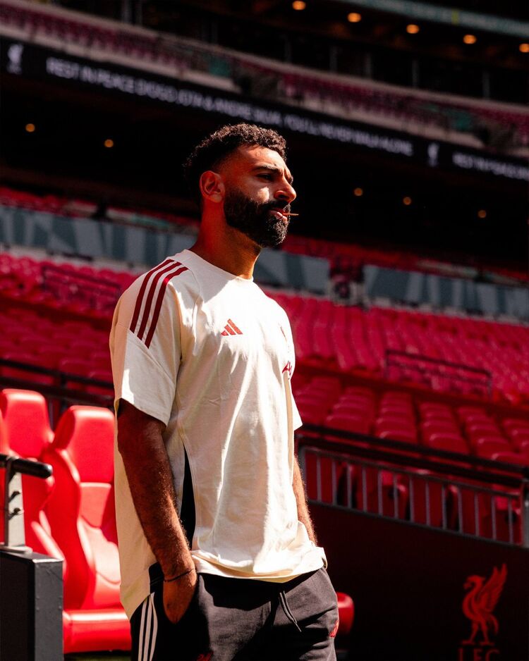 ���� 54831646 ����� �������, 21 ���, ���� ���������� � �������