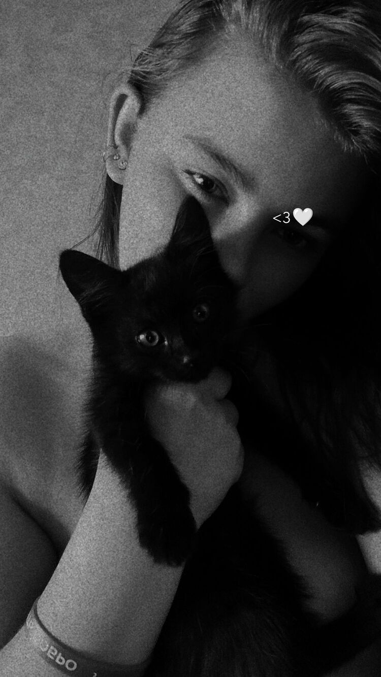 ���� 55205986 ������� ����, 23 ����, ���� ���������� � �����������