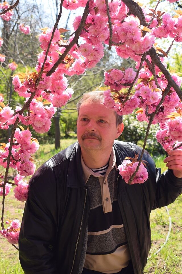 ���� 28456716 ������� ����, 50 ���, ���� ���������� � ������