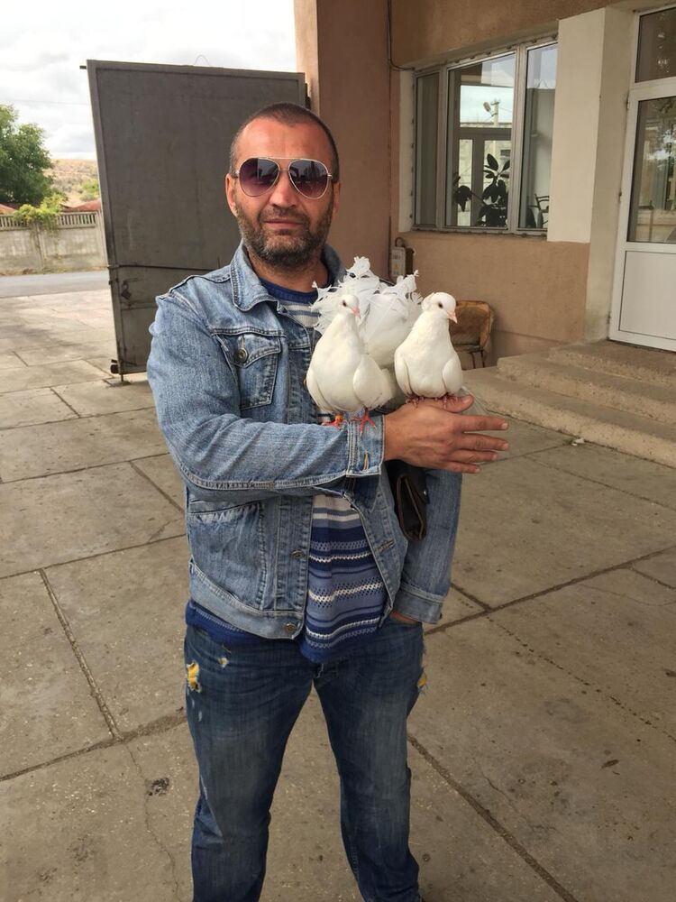  ,   , 48 ,   ,   