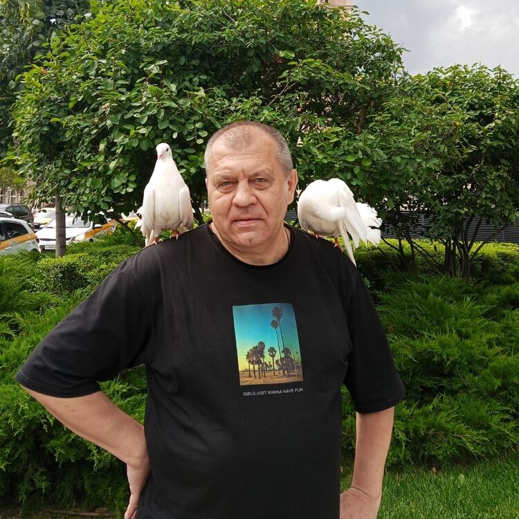  ,   , 58 ,  
