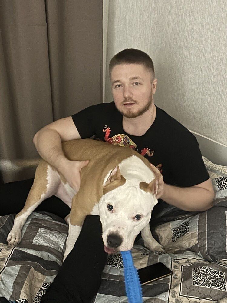 ���������� ������, ���� ������� ������, 33 ����, ������������ ��� ������, ����� � ���������