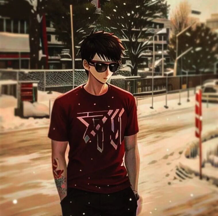  31637006  , 20 ,    -