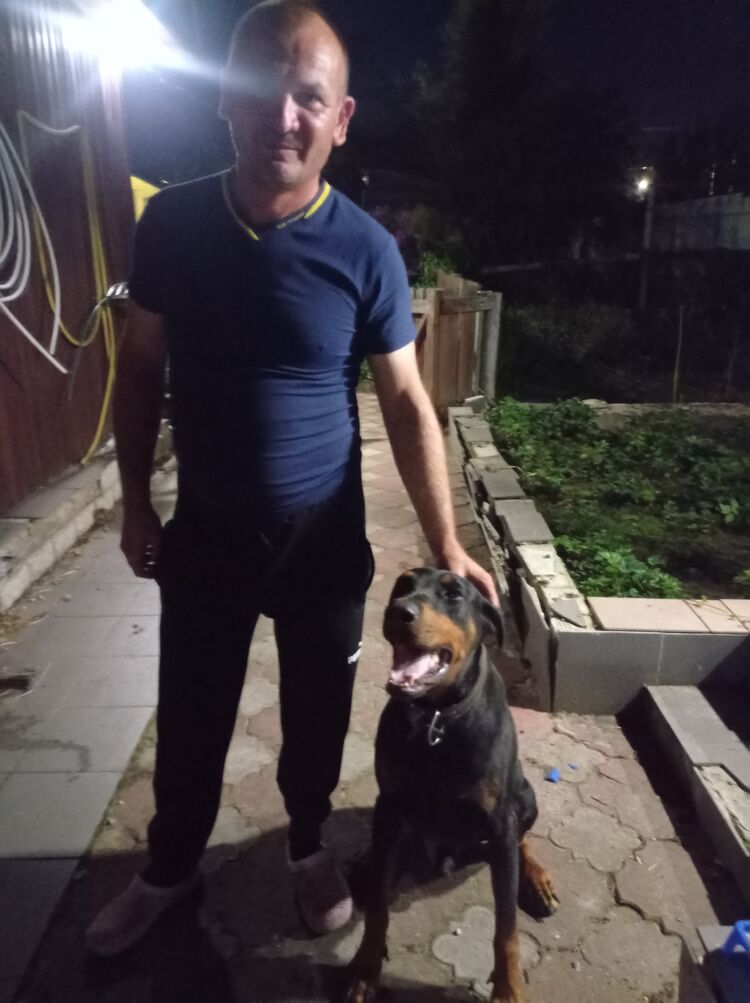 ���� 51091756 ������� ��������, 44 ����, ���� ���������� � ������