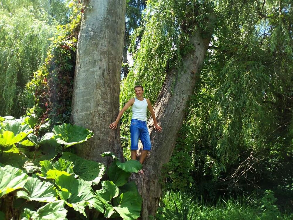 ���������� ����, ���� ������� �����, 36 ���, ������������ ��� ������, ����� � ���������, c�������� ���������, ���������