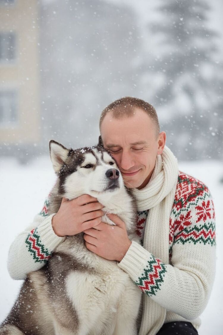 ���� 56231856 ������� ����, 35 ���, ���� ���������� � �������