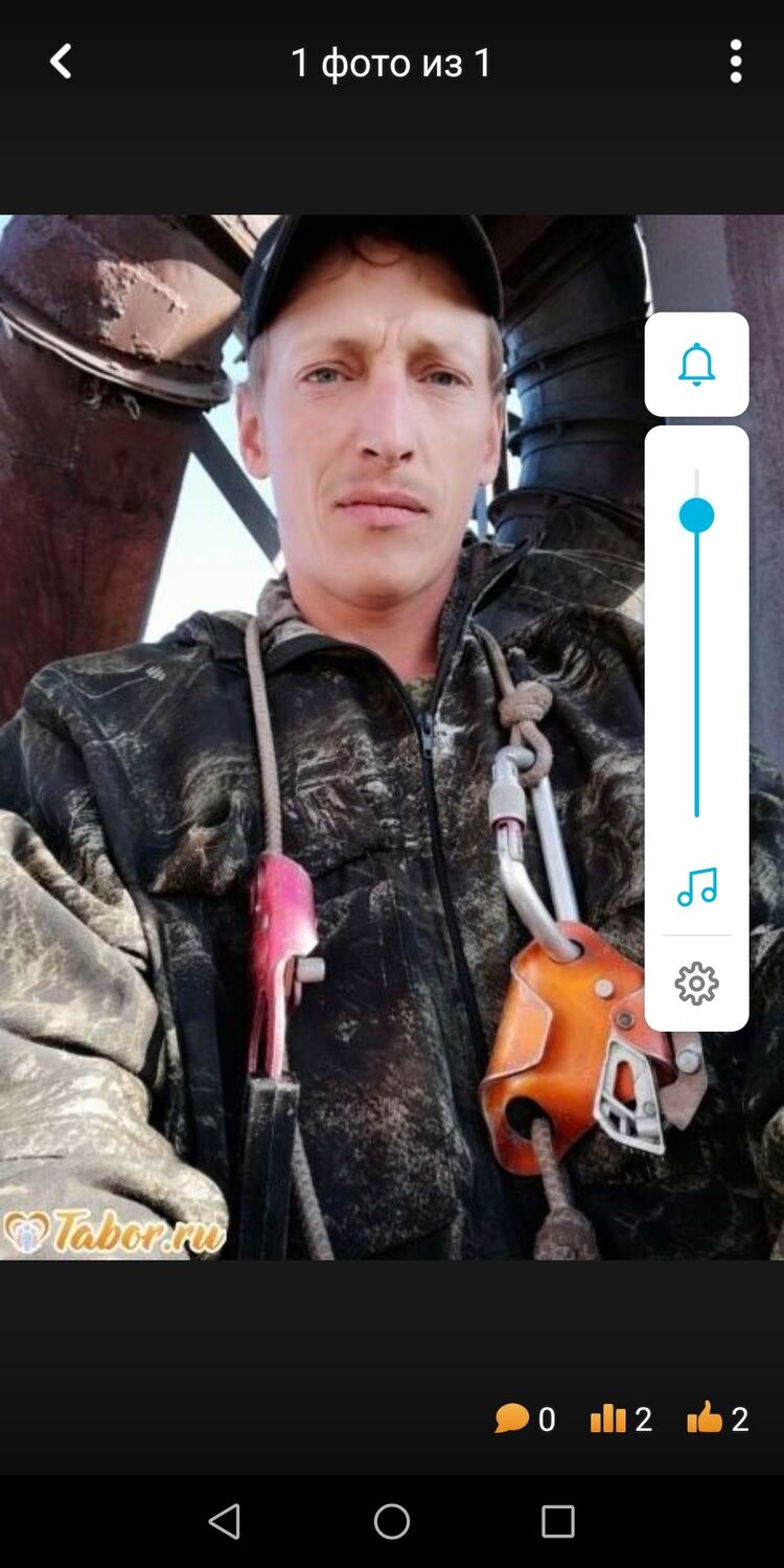  31039366  , 39 ,    