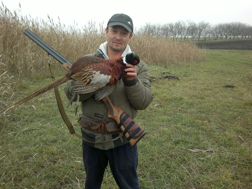 ���������� ������, ���� ������� ����, 46 ���, ������������ ��� ���������