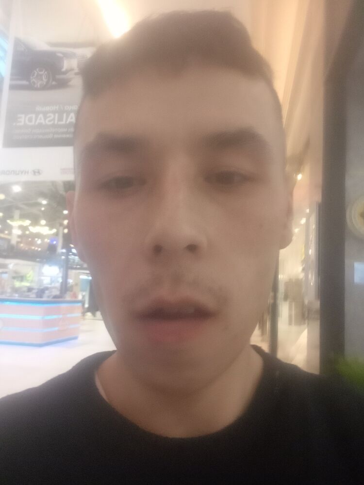  36783136  , 31 ,    