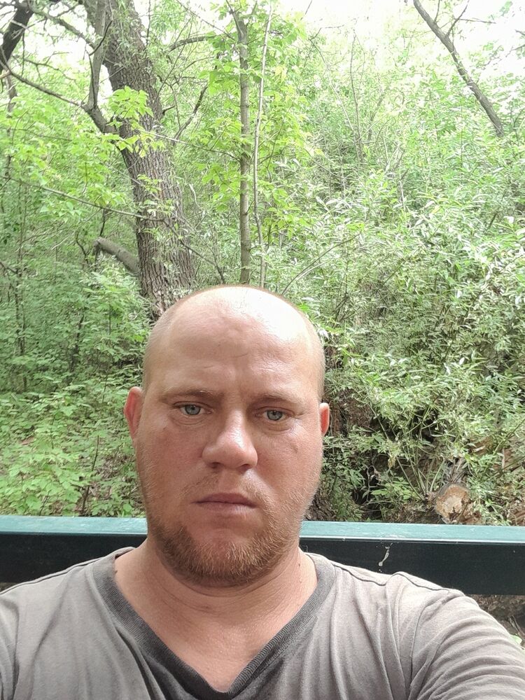 ���� 55789886 ������� �������, 39 ���, ���� ���������� � ������