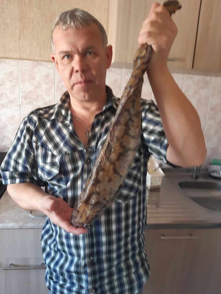 ���� 25122816 ������� �����, 56 ���, ���� ���������� � �������������