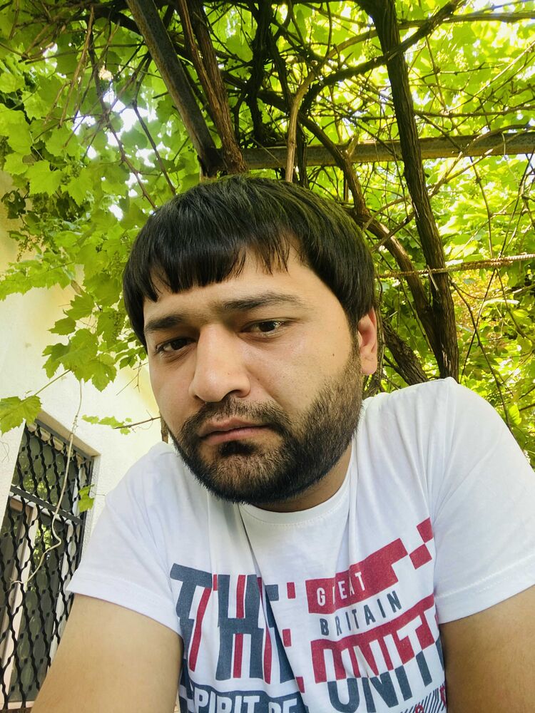  23845636  , 31 ,    --