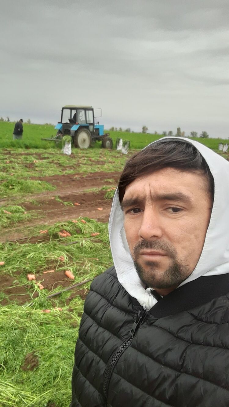 ���������� ��������, ���� ������� �������, 35 ���, ������������ ��� ������, ����� � ���������