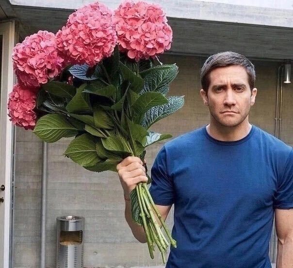 ���� 47183006 ������� ����, 27 ���, ���� ���������� � �����������