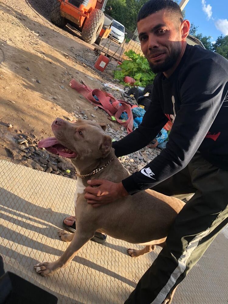 ���� 44073476 ������� ���, 27 ���, ���� ���������� � �����-����������