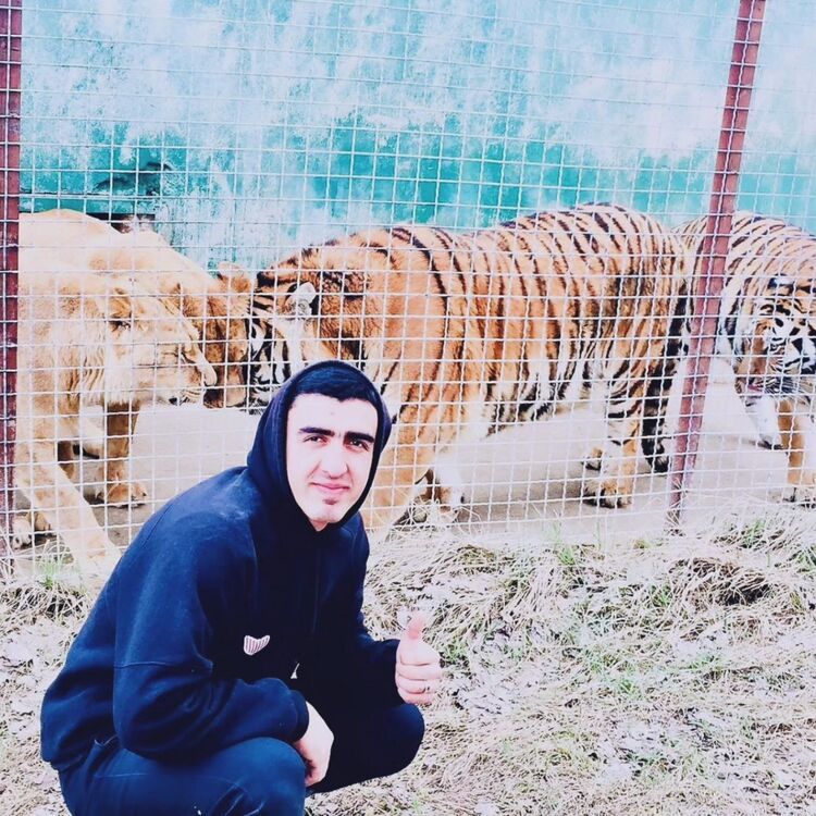 ���� 54999036 ����� ���������, 25 ���, ���� ���������� � �������