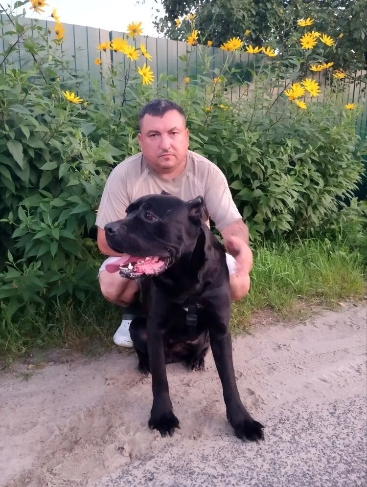 ���������� ������, ���� ������� ������, 44 ����, ������������ ��� ������, ����� � ���������