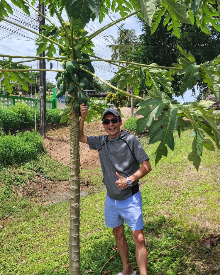 ���� 41867406 ������� A����, 44 ����, ���� ���������� � ������