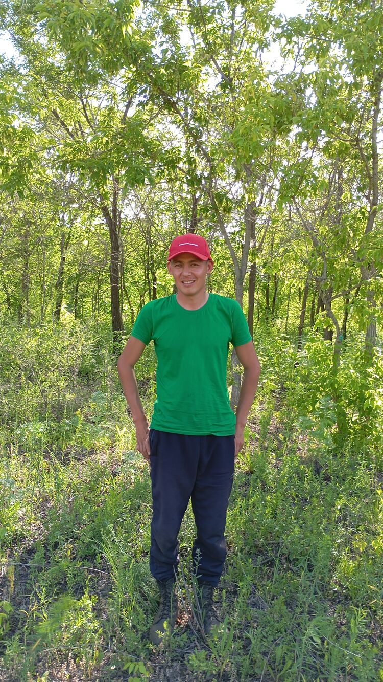 ���� 43900926 ������� ������, 34 ����, ���� ���������� � ������