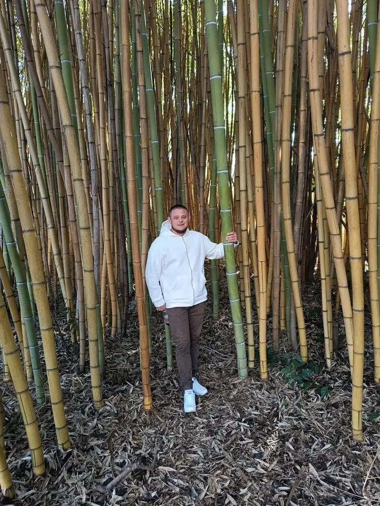 ���������� �����, ���� ������� ������, 38 ���, ������������ ��� ������, ����� � ���������, c�������� ���������, ���������