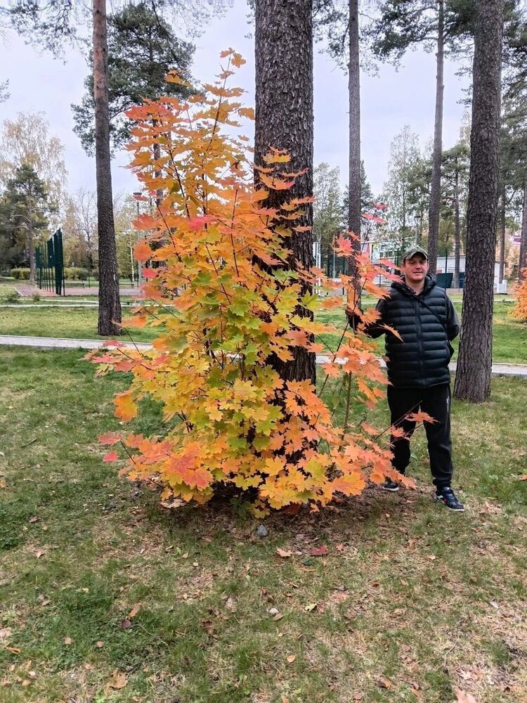  54311256  , 39 ,    -