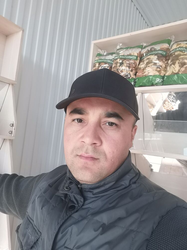  51203926  , 33 ,    