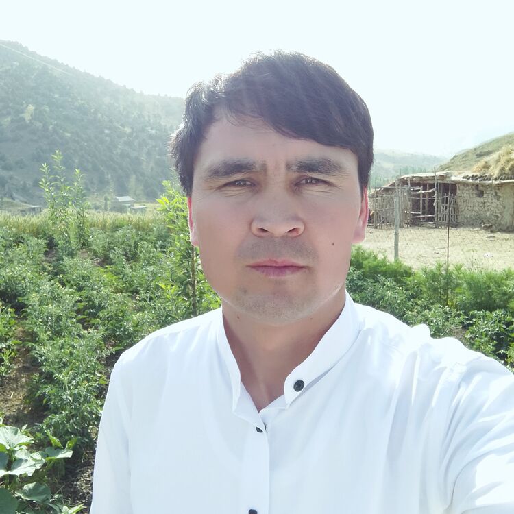  45161926  , 28 ,    -