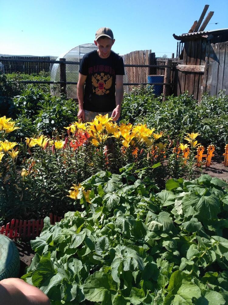 ���������� �������, ���� ������� �������, 38 ���, ������������ ��� c�������� ���������, ���������