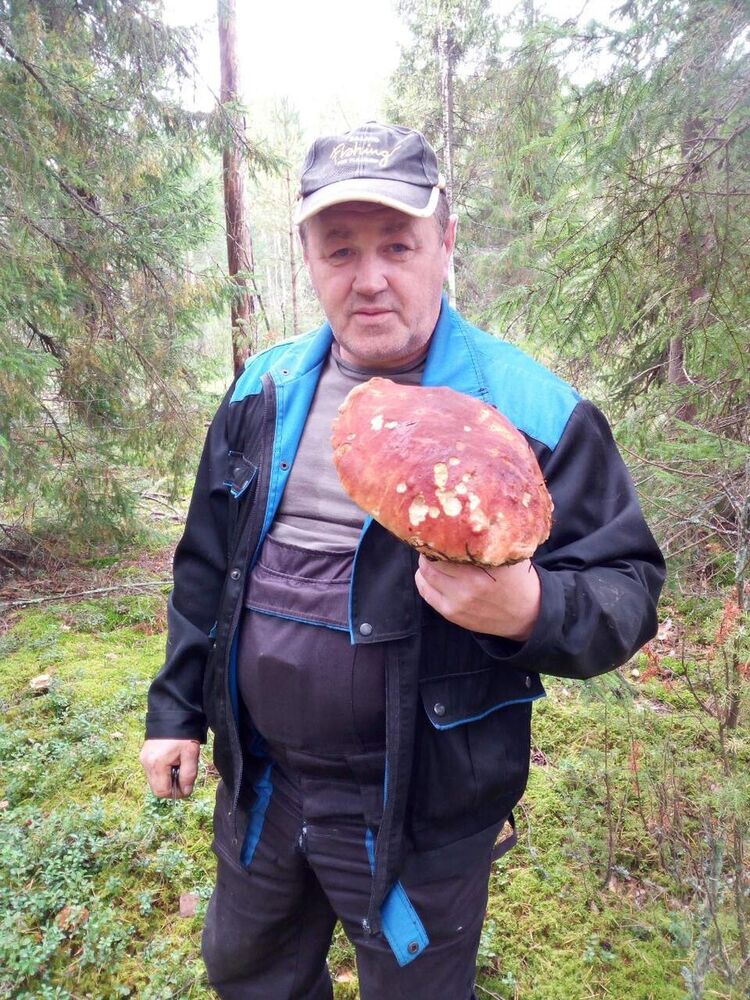  ,   , 60 ,   