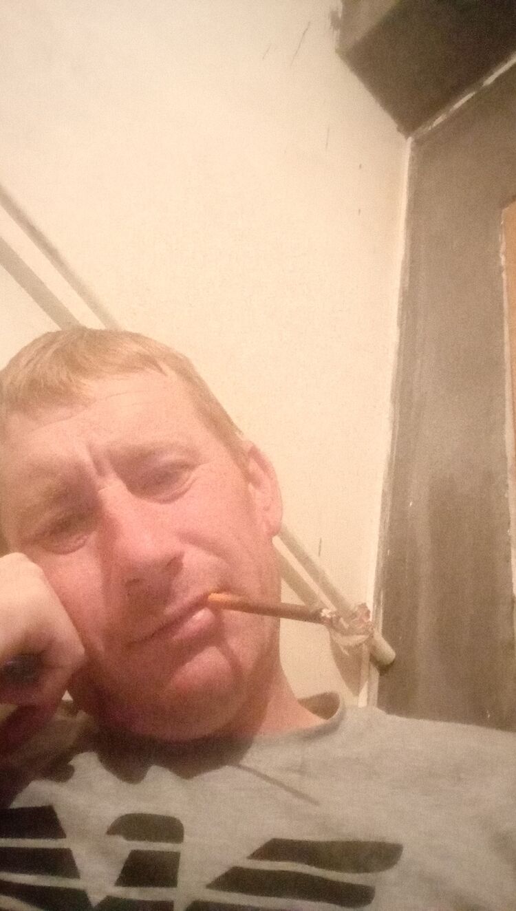  44371106  , 37 ,    