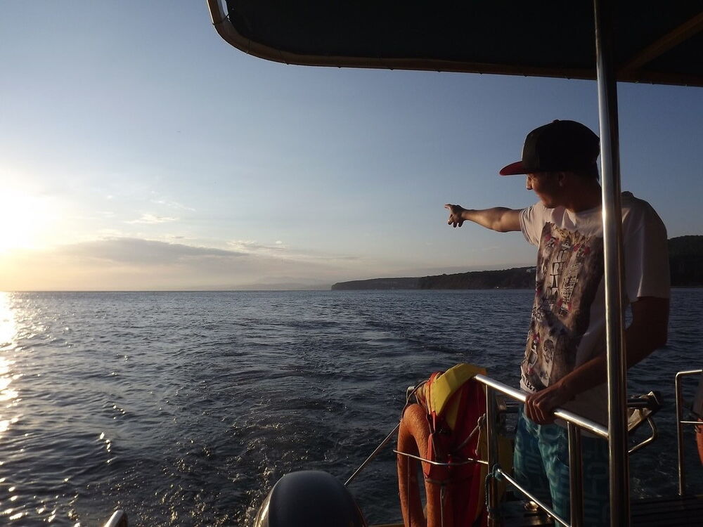 ���� 5118206 ������� ����, 36 ���, ���� ���������� � ��������