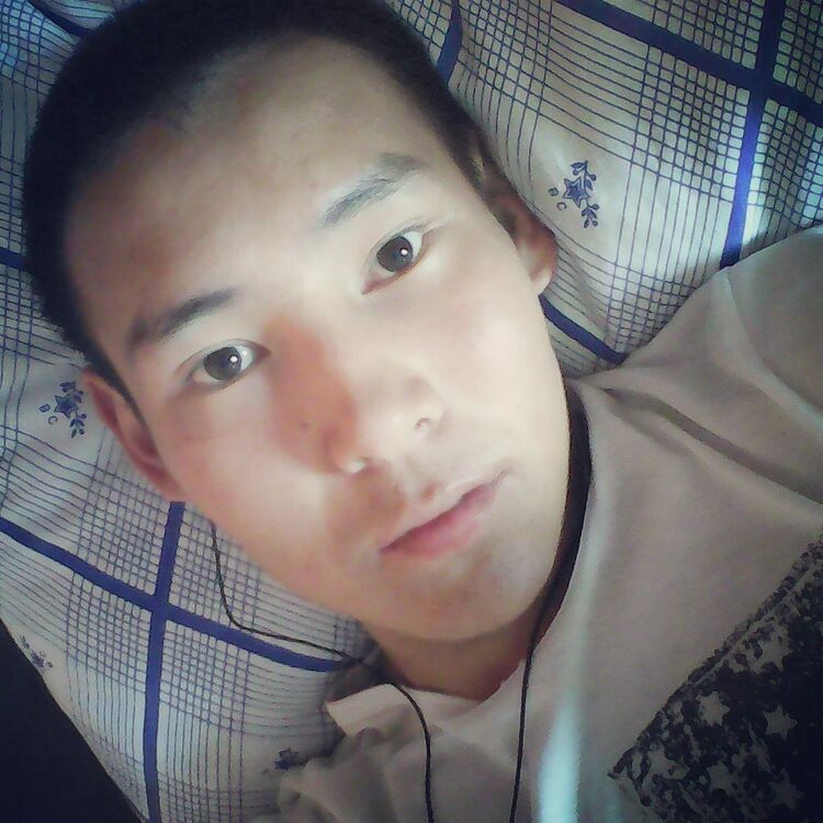  8071556  , 31 ,    -