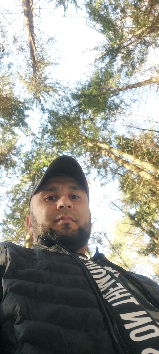 ���� 27455266 ������� ALADDIN, 36 ���, ���� ���������� � ��������